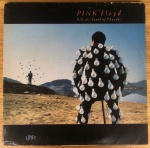 Disco de Vinil / LP - Pink Floyd Delicate Sound Of Thunder, duplo disco. Em bom estado. 
