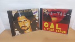 DOIS CDs: GAL COSTA / OSWALDO MONTENEGRO * SINAIS DE USO E TEMPO NA CAPA, MAS NADA GRITANTE