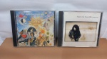 DOIS CDs:  TEARS FOR FEARS  * SINAIS DE USO E TEMPO NA CAPA, MAS NADA GRITANTE