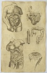 Anatome Corporis Humani.VALVERDE DE HAMUSCO, Juan -