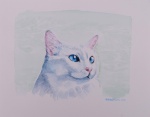 Maria Helena C. Hofmann - M. H. Hofmann (Rio de Janeiro/RJ , 1963), "Blue Eyes". Aquarela sobre papel Canson. Medida externa: 26 cm x 36 cm. Assinado na frente e verso. Datado, 2023. Nota Biográfica: Desde cedo manifestou interesse pelo desenho e passou a representar a natureza à sua volta. Gatos, borboletas, flores e pequenos animais tornaram-se um tema recorrente em suas obras, assim como a paisagem carioca. Estudou figura humana com Bandeira de Mello e, posteriormente, com Gianguido Bonfanti no Parque Lage, onde frequentou aulas de atelier com professores de diversas vertentes. Participou do grupo de desenho do Sketching in Rio, curso livre do Pratt Institute de Nova Iorque. Publicitária e mestre em Artes e História da Arte pela UERJ, foi professora em atelier de desenho e atualmente dá aulas nos cursos de Design e Publicidade em uma universidade do Rio de Janeiro. Participou de diversas exposições coletivas, e realizou sua primeira individual no evento multimídia Nação no Espaço Cultural Sérgio Porto. A citar algumas exposições: SESC de Copacabana; Banco Central com o grupo Plural; Espaço Cultural Sérgio Porto; Exposição Ilustrando o Cinema Brasileiro no Demi Glacê; Centro Cultural dos Correios, coletiva A Cara do Rio e Exposição Avante Camaradas no Clube Militar entre outras.
