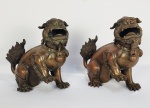 MAGNIFICO PAR DE INCENSÁRIOS EM BRONZE COM FEITIO DE CÃES DE FÓ. CABEÇAS BASCULANTES. A FUMAÇA É DISPENSADA PELA BOCA DAS CRIATURAS. EXCEPCIONAL QUALIDADE. CHINA, INICIO DO SEC. XX. 20 X 18 CM