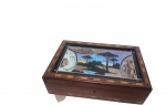 Caixa de madeira nobre marchetaria  com paisagens araucárias -Paraná, decoradas por asas  de borboletas, com chave. Dimensões: 28  x 18 x 8 altura.