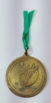 Antiga e rara medalha de Mérito comemorativa - 1 SUL FLUMINENSE DE ARTES - MOA - AAPP - 1985 - Bronze -  Medida: 45 mm de diâmetro.