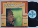 Os Grandes sucessos de MARVIN GAYE LP 1976 Brasil Excelente estado. Gravadora Motown 70's. Disco e capa em excelente estado.