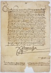 DONA CATARINA DA ÁUSTRIA (1507-1578)  RAINHA CONSORTE DE PORTUGAL, ESPOSA DE DOM JOÃO III E REGENTE DO REINO NA MENORIDADE DE DOM SEBASTIÃO I. CARTA PATENTE DE DONA CATARINA DA ÁUSTRIA CONCEDENDO O TÍTULO DE CIDADÃO DO PORTO A DUARTE DE TOMAZ  EXCERTOS DO TEXTO: FAÇO SABER A QUANTOS MEU ...VIREM VINDO EM RESPOSTA AS QUALIDADES DE DUARTE DE TOMAZ E DE SEU PAI JERONIMO DE TOMAZ E GRÁCIA RODRIGUES SUA MÃE MORADORES NA CIDADE DO PORTO....ME APRAZ FAZER O DITO DUARTE TOMAZ CIDADÃO DA DITA CIDADE DO PORTO....POSTO QUE NÃO PASSAM PELA CHANCELARIA MALGRADO DA ORDENAÇÃO EM CONTRÁRIO. EU CATARINA FIZ ESCREVER.ASSINA DONA CATARINA DA ÁUSTRIA. INICIO DA DÉCADA DE DE 1560. NOTA: D. Catarina de Áustria nasce em Espanha, na cidade de Torquemada, a 14 de janeiro, de 1507. É filha de Joana, rainha de Castela, Leão e Aragão, e de Filipe I, rei consorte de Castela e Leão. Teve cinco irmãos, de entre os quais o imperador Carlos V. Durante os seus primeiros anos de vida, os tempos eram de profunda incerteza política. O seu pai morre no ano anterior ao seu nascimento, e a sua mãe, D. Joana, que ficou conhecida como A Louca, é encarcerada, em 1509, no paço régio de Tordesilhas, às ordens do rei Fernando, o Católico. D. Catarina vai partilhar o cativeiro com a mãe, fazendo a sua formação confinada ao Paço. Em 1518, ocorre um episódio que lhe altera significativamente a vida - é libertada pelo seu irmão, o imperador Carlo V que, embora não autorize a sua saída de Tordesilhas, lhe providencia condições de vida mais abonatórias. Dado o histórico de diferendos diplomáticos entre Castela e Portugal, Carlos V encarrega-se de atribuir um papel politicamente ativo à sua irmã, neste caso, para estabilizar as relações ibéricas. Assim, autoriza o casamento da irmã com D. João III, rei de Portugal, casando-se ele próprio com Isabel, filha de D. Manuel I. O casamento de D. Catarina com D. João III dá-se em 1525. Nesta altura, grande parte da população de Lisboa padecia de peste, sendo que o próprio rigor invernoso não permitiu que o recente casal real chegasse mais cedo à cidade. Segundo documentação da biblioteca da Ajuda, a festa da entrada régia registou a sua ocorrência no dia 24 de janeiro, depois de uma travessia do respetivo séquito em pequenos batéis, entre Alcochete e Lisboa, assistindo-se a grandes honras à nova rainha quer em mar como em terra. Com um temperamento vigoroso e dotada de uma inteligência pouco vulgar, exerceu forte influência nos negócios portugueses internos e externos, sendo admitida em todos os conselhos de Estado, uma honra conferida apenas excecionalmente. A morte de D. João III, em 1557, fez com que a sucessão transitasse para o neto, D. Sebastião. Note-se que o casal real teve nove filhos, mas todos faleceram ainda em vida do rei D. João III. Nesta medida, D. Catarina assume a regência do reino durante a menoridade do neto, convocando o cardeal D. Henrique para seu conselheiro. Mostrou-se permanentemente atenta com a educação do neto, procurando chamar à Corte os melhores mestres para formarem um príncipe digno do trono e das virtudes associadas a um responsável máximo de Estado. Nos assuntos externos, focalizou o seu empenhamento na conservação da conquista de territórios orientais, ordenando o envio de armada com o objetivo não só de mantê-los sob a alçada portuguesa, mas também para os submeter às leis do reino. No Norte de África, continuavam as tentativas de expulsão dos portugueses, cuja posse territorial era vista como uma afronta. Neste sentido, o rei de Marrocos veio a estabelecer cerco em Mazagão com um exército numeroso. A praça marroquina foi defendida pelo capitão Rui de Sousa que, depois do apoio militar concedido pela rainha, conseguiu finalmente repelir a ameaça. Relativamente à política administrativa interna, a rainha regente mostrou-se pragmática, atuando com prudência, ao escolher como ministros personalidades ativas e desinteressadas, como foi o caso de Gil Eanes. Tinha por hábito premiar os beneméritos, promovendo, por exemplo, na mitra primacial de Braga, D. Frei Bartolomeu dos Mártires. Fundou em Lisboa, em 1519, o Colégio dos Meninos Órfãos, dotando-o de mestres para que educassem e instruíssem os órfãos. Mandou também construir os mosteiros do Vale Bem-feito, da ordem de São Jerónimo, de Pedrogão dos Dominicanos, e a igreja de Santa Catarina, entre outros. Enlevada pelo sucesso da sua política regencial manda, por carta de 11 de agosto, de 1560, que todos os estudantes portugueses das universidades de Paris, Lovaina e Salamanca, regressassem para estudar na Universidade de Coimbra, o que seria uma grande demonstração de respeito pela memória de D. João III. Consegue junto do Papa, a elevação da igreja de Santa Catarina de Goa a arcebispado, e a criação dos bispados de Santa Cruz, Cochim, Assunção e Malaca. Em 1560, agastada pela continuidade do esforço exigido pela regência, tenta transferir este papel para o cardeal D. Henrique, mas as manifestações em prol da sua continuidade revelam-se frutíferas, continuando a assumir esse encargo por mais dois anos. Posto isto, retira-se em 1562, passando a regência para o cardeal. Contam-se algumas divergências com o neto, o infante D. Sebastião, principalmente por este demonstrar, desde muito cedo, um certo fascínio das artes bélicas do espírito de cavalaria. Acaba por se retirar para o convento de Xabregas, onde vem a falecer a 6 de fevereiro, de 1578, apenas alguns meses antes de D. Sebastião desaparecer na batalha de Alcácer-Quibir.