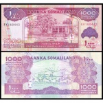 Somalilãndia - P-20c - Cédula de 1.000 Shillings 2014 Flor de Estampa - Somaliland - África