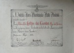 NAZISMO NAS AMÉRICAS - Diploma da Academia Germano-Ibero-Americana de Medicina (Deutsch-Ibero-Amerik