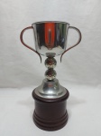 Lindo troféu tipo taça em estanho com base em madeira. Medindo 9cm x 25cm de altura.