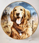 COLECIONISMO - Belissimo prato decorativo edição limitada de Jim Killen . Coleção intitulada Golden Retriever . Numerado.  Não acompanha suporte.  Med. 21cm