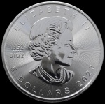 Canadá - 2023 - 5 Dollars - 31,3 Gr - Prata 0.999 - 38 mm - FC.