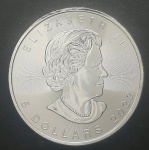 CANADA - 5  DOLLASRS - 2022 - PRATA .999 - 31,1gr - ONÇA DE PRATA - MAPLES - PROOF