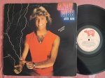 LP ANDY GIBB - AFTER DARK // CAPA CONFORME FOTOS // DISCO EM MUITO BOM ESTADO // PODE CONTER RISCOS QUE CAUSAM CHIADOS, RUÍDOS OU PULOS