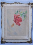 Aquarela "Hibisco". Autor não identificado. Assinado no CID. datado Rio de Janeiro 1954. Dimensões 28 x 38 cm. Peça no estado.