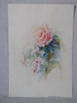 GILDA PECKOLT - "Flores" lápis e pastel, assinado. Med. 40 x 27cm.