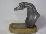 Troféu em resina no feitio de busto de cavalo, assinado AT Nogueira. Apresenta orelhas quebradas. Alt. 24cm.