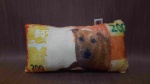 Almofada, Nota de 200 Reais cachorro caramelo, 35 cm de comprimento. R615