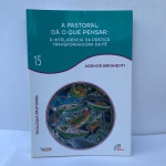 A pastoral dá o que pensar - Vol. 15: Teologia pastoralEdição Português | por Agenor Brighenti