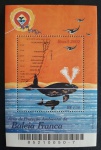 B128 - BALEIA FRANCA