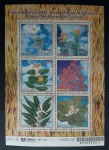 B- 131 - UPAEP - FLORES - MINT