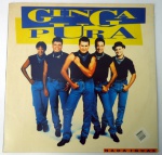 LP Vinil - Ginga Pura - Nada Igual - 1994 Polygram - disco e capa 99%