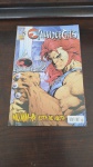 Revista Thundercats n2 Editora Panini, em bom estado, como nas fotos.