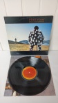 Disco Delicate Sound of Thunder - Pink Floyd(dois discos)