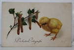 Cartão Postal Antigo - Em bom estado de conservação, apresentando alguns desgastes do tempo. - Sem carimbo postal. Sem data - Sem selo - Com mensagem escrita pelo remetente na parte de trás - Impresso provavelmente Alemanha - Formato: 14cm x 9cm -  Cód: P1-021
