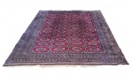BUKHARA, PAQUISTÃO SÉC. XX - 285 x 208. Lindo e clássico tapete de origem persa, adornado por medalhões ovais (guls), dispostos de forma simétrica sobre fundo vermelho intenso. Borda com múltiplas faixas geométricas em tons de marfim, vinho e azul escuro. Confeccionado á mão com técnica minuciosa que evidencia o refinamento artesanal típico da Ásia Central. Bom estado de conservação, apresenta marcas de uso e do tempo. Mede 285 x 208 CM.