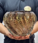 MURANO - Magnífico e belíssimo centro de mesa em pesado vidro artístico de Murano, design exclusivo com linda tonalidade, feitio gomado riquíssimo em movimentos com borda tiotada, bolhas e pó de ouro espalhado. Perfeito estado de conservação, Mede 19 cm de altura x 23 cm de diâmetro da borda aproximadamente.