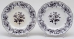 WEDGWOOD - Par de pratos rasos século XIX em faiança inglesa esmaltada e vitrificada na cor branca com decoração floral. Diâmetro: 24cm.