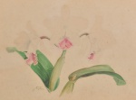 Samuel Salvador - Orquídea, aquarela datada 1945 e assinada, 28 x 36 cm.