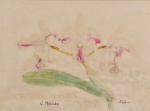 Samuel Salvador - Orquídea C. Melody, aquarela assinada, 28 x 36 cm.