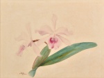 Samuel Salvador - Orquídea, aquarela assinada, 28 x 36 cm.