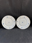 TK Thun, Czechoslovakia Conjunto de dois pratos de fina porcelana tcheca.Apresenta uma bela decoração floral em azul.Conforme as fotos medindo 23, cm de diâmetro.  