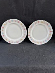 Bavaria.Belo conjunto de dois pratos em fina porcelana alemã, Bavaria, apresentando uma decoração floral na sua borda com diferentes cores. Conforme as fotos medindo 24 cm de diâmetro. 