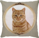 Capa para almofada com zíper invisível, feita em oxford com impressão frente e verso de gato Ginger. Tecido Oxford 100% Poliéster. Dimensões da Capa: 45 cm X 45 cm. Não acompanha enchimento.