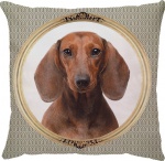 Capa para almofada com zíper invisível, feita em oxford com impressão frente e verso do cachorro Dachshund (Salsicha) caramelo. Tecido Oxford 100% Poliéster. Dimensões da Capa: 45 cm X 45 cm. Não acompanha enchimento.