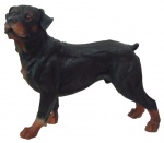 Cachorro Rottweiler - Bela escultura  confeccionada em resina lindamente policromada artesanalmente, com  riqueza e perfeição nos  detalhes,. Medidas: Comprimento: 32 cm Largura: 11 cm Altura: 27 cm Peso: 1,100 kg