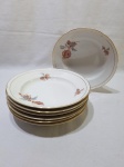 Jogo de 7 pratos fundos de massa, sopa em porcelana Polonesa floral com friso ouro. Medindo 21cm de diâmetro.  Leve fio de cabelo.
