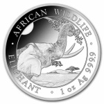 LINDA MOEDA DA SOMÁLIA 1 ONÇA DE PRATA 999 - 2023 ELEFANTE AFRICANO 100 SHILLINGS FLOR DE CUNHO