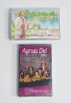 Lote Lacrado de 2 Fitas K 7 - AGNUS DEI - Vinho Novo, 1997 e Conjunto Agnus Dei, 1993 - Paulinas COMEP - Medida: 11 cm x 7 cm x 2 cm. Conforme fotos.