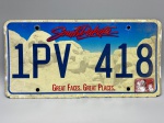 COLECIONISMO - Placa automotiva - Alumínio -  Americana - SOUTH DAKOTA - 1PV 418. Med. 15,5x31 cm. Produto conforme fotos originais do lote.
