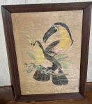 Quadro relatando dois tucanos em moldura de madeira em tom escuro - dim- 46x60x3