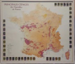 Poster Frances com as principais Vinícolas e tipos de Uvas Francesas, medindo 68 cm porr79 cm finamente emoldurado e envidraçado.