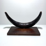 Chifres envernizados com base de madeira. Dimensões: 15 cm x 10 cm x 30 cm.