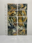 Parte de coleção com 10 cartões telefônicos. Série Tigre completo.