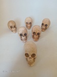 Conjunto de 6 crânios esculpidos em estuque rígido. Decorados em antiga técnica de marfim envelhecido. Cada uma nas dimensões 7x4,5x5cm.