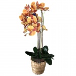 CHALÉ KALÉ - Vaso com orquídeas artificiais 3D. Obs: Com marcas do tempo, Necessitam de limpeza. Medidas: Altura 28cm, Largura 17cm e Comprimento 28cm.