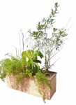 Grande vaso em fibra, na tonalidade bege. Acompanha plantas e terra. Obs: Retirada pelo comprador. Medidas: 45 cm de altura, 35 cm de largura e 1 m de comprimento.